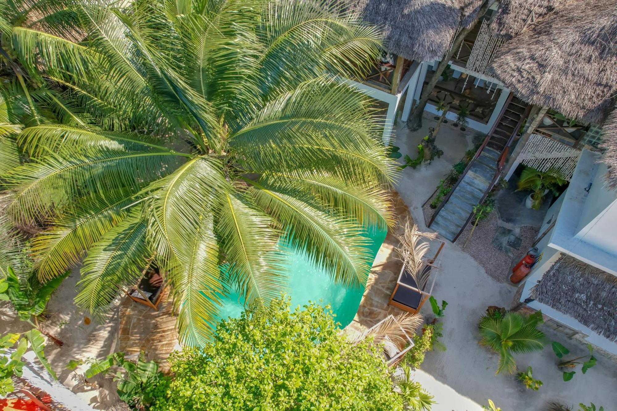 Ocean Boho House Bed & Breakfast Jambiani  Exterior foto
